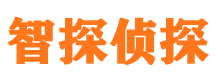 元阳市侦探公司